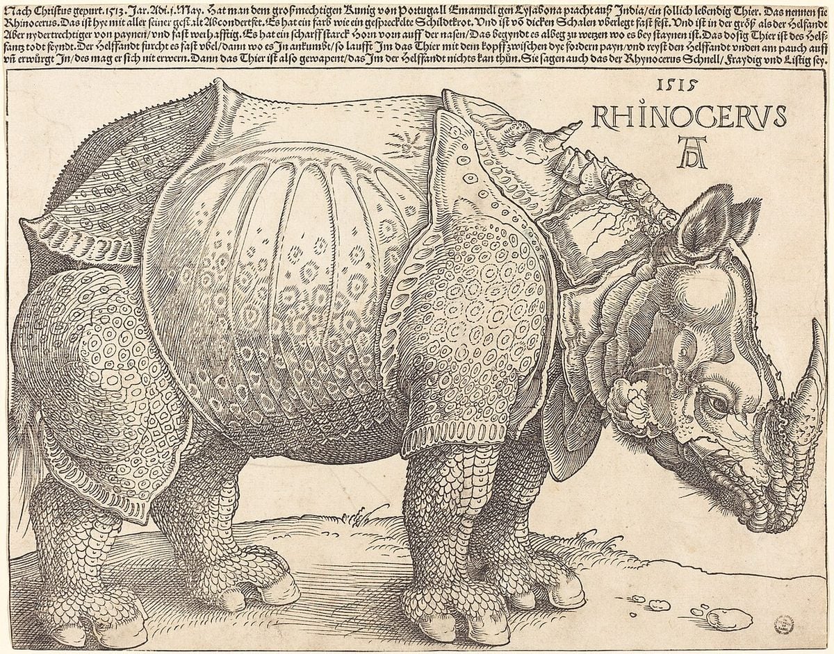 woodcut print Albrecht Dürer: The Rhinoceros