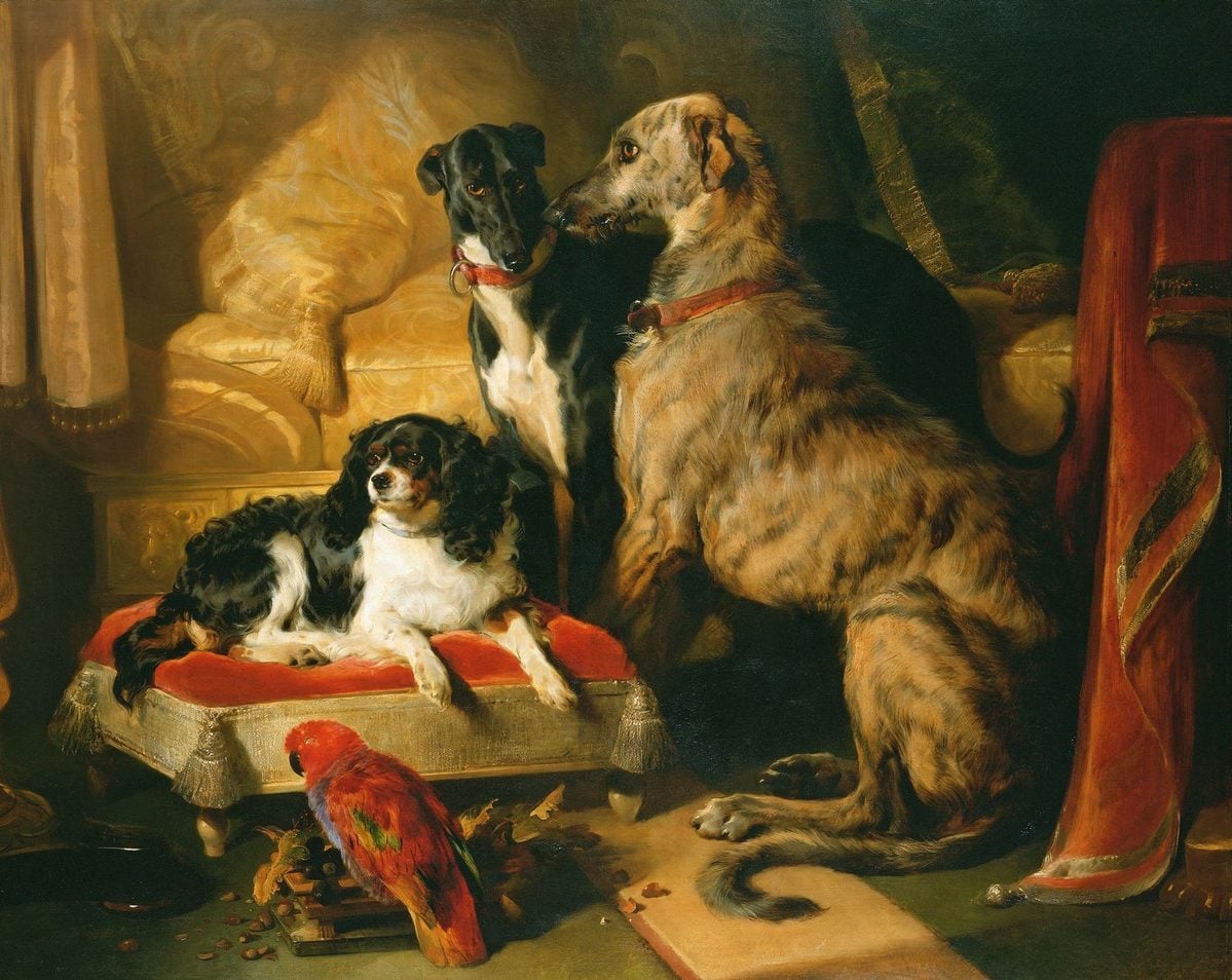 Queen Victoria's favourite pets painted by Landseer in 1838 (after an 1837 sketch): Dash (left) with Lory (parrot), Nero (greyhound) and Hector (Scottish deerhound).