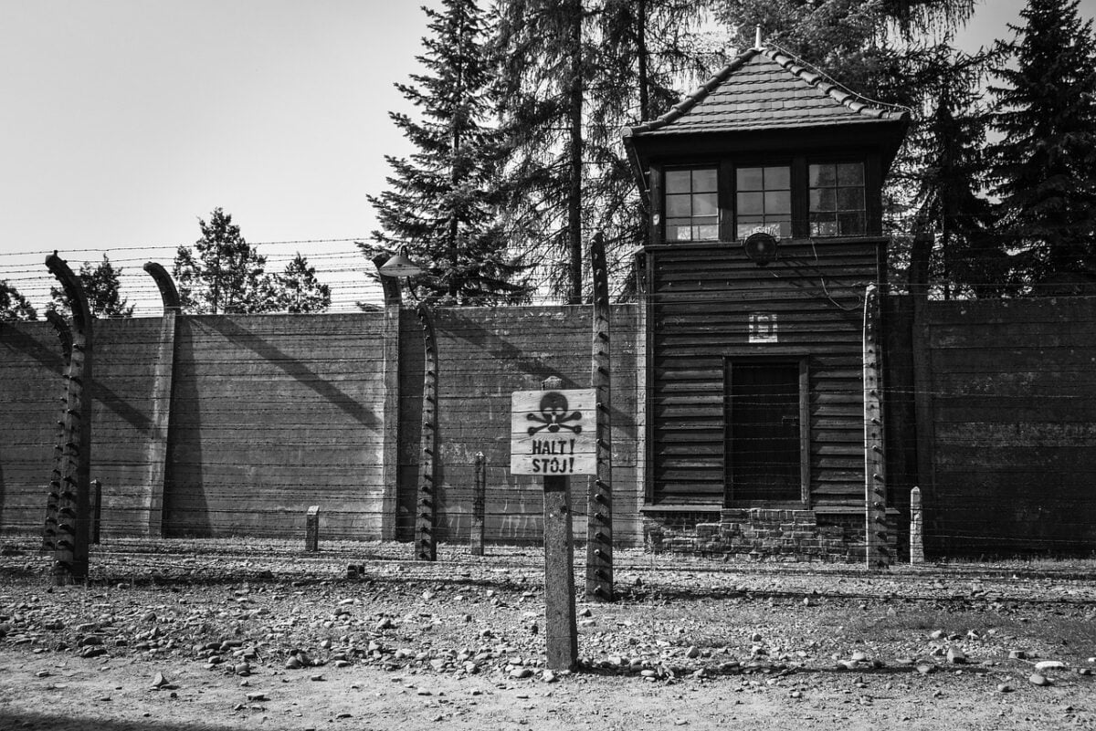auschwitz, concentration camp, tower, wall, fence, history, war, prison, nazism, holocaust, museum, suffering